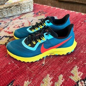 Nike Pegasus Size 9.5